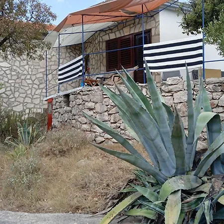 Blue House Tino *