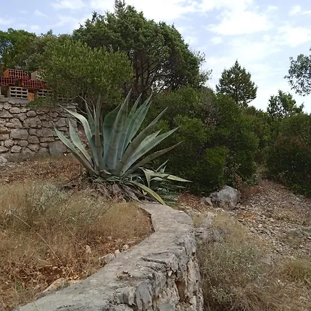 Blue House Tino Privat bolig Gdinj