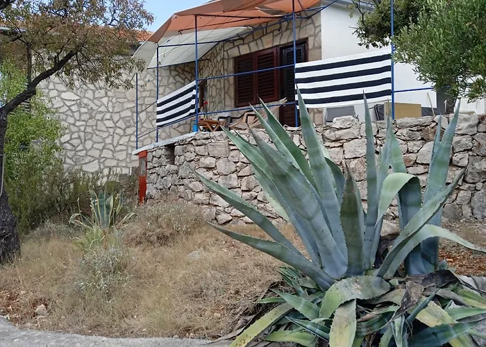 Blue House Tino *